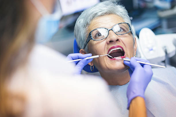 Best Preventive Dentistry  in Pequot Lakes, MN